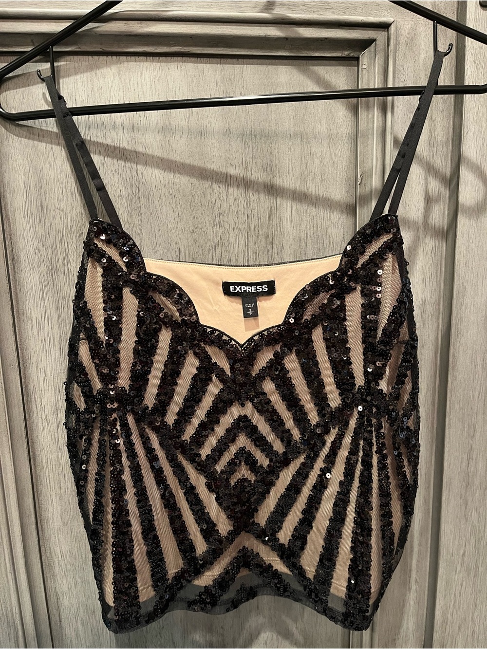 Express Black Sequin Mesh Camisole with Nude Lining